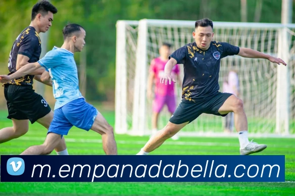 平台展示图